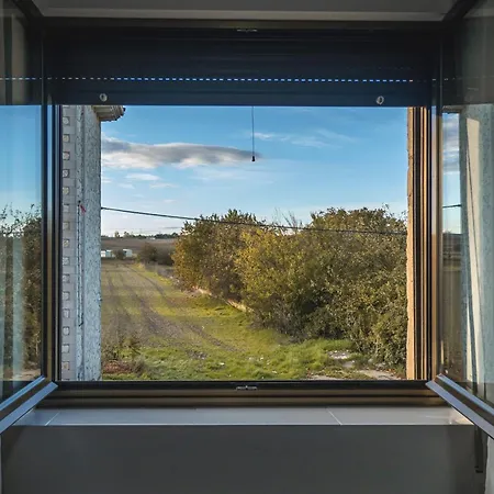 La Ruta De Carlos V - Vut *